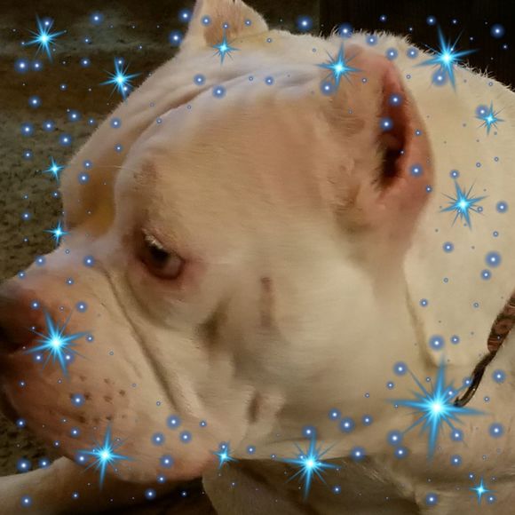 Meet your Posher, Rebecca - Picture 1 of 1